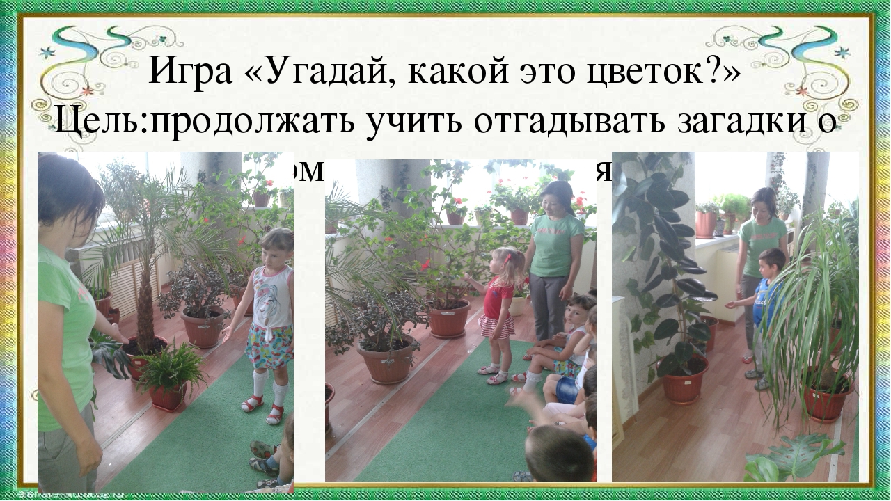 Презентация мини-занятия с использованием технологии ТРИЗ "Удивительный мир комнатных растений"