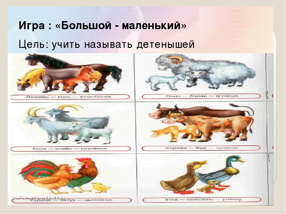 Презентация мини-занятия по технологии ТРИЗ "Папа, мама, я - дружная семья"