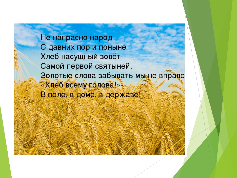 Презентация мини-занятия по технологии ТРИЗ "Откуда хлеб пришел"