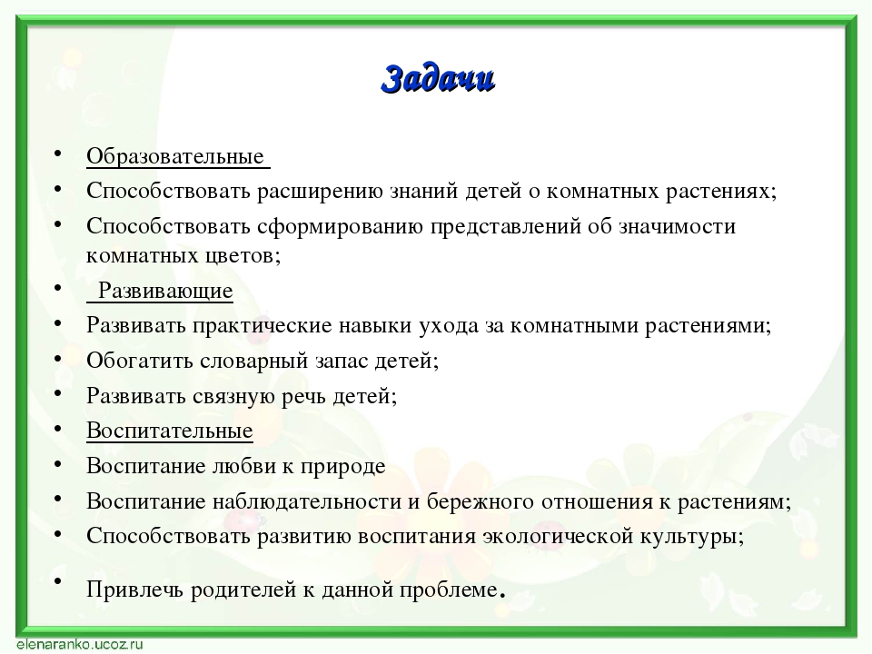 Проект по экологии "Наши друзья - комнатные растения"