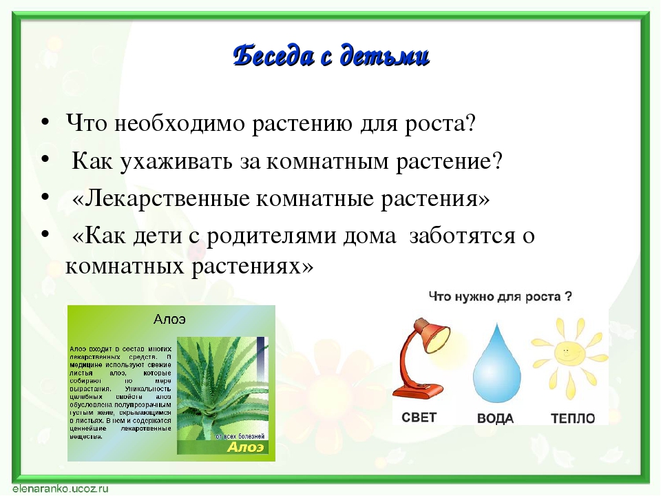 Проект по экологии "Наши друзья - комнатные растения"