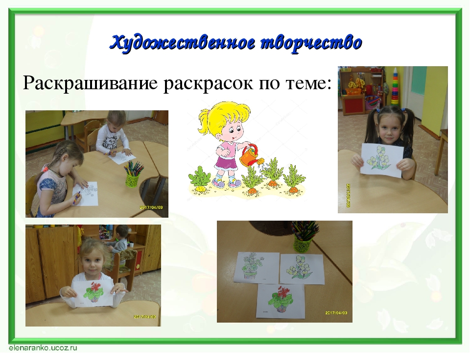 Проект по экологии "Наши друзья - комнатные растения"