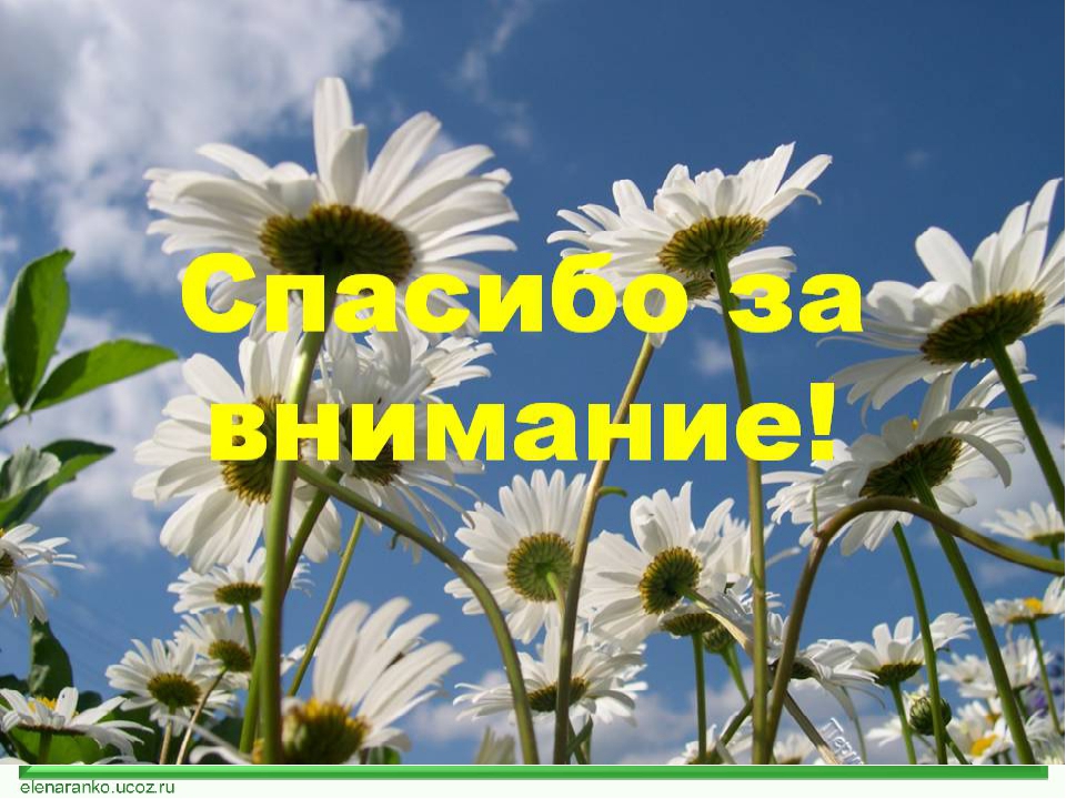 Проект по экологии "Наши друзья - комнатные растения"