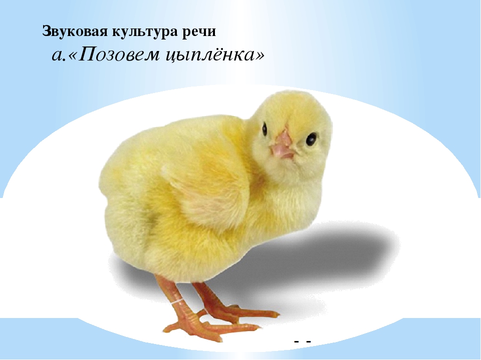 Диагностика речевого развития детей, обучающихся русскому языку в ДО