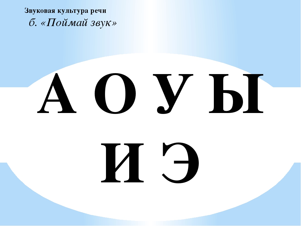 Диагностика речевого развития детей, обучающихся русскому языку в ДО