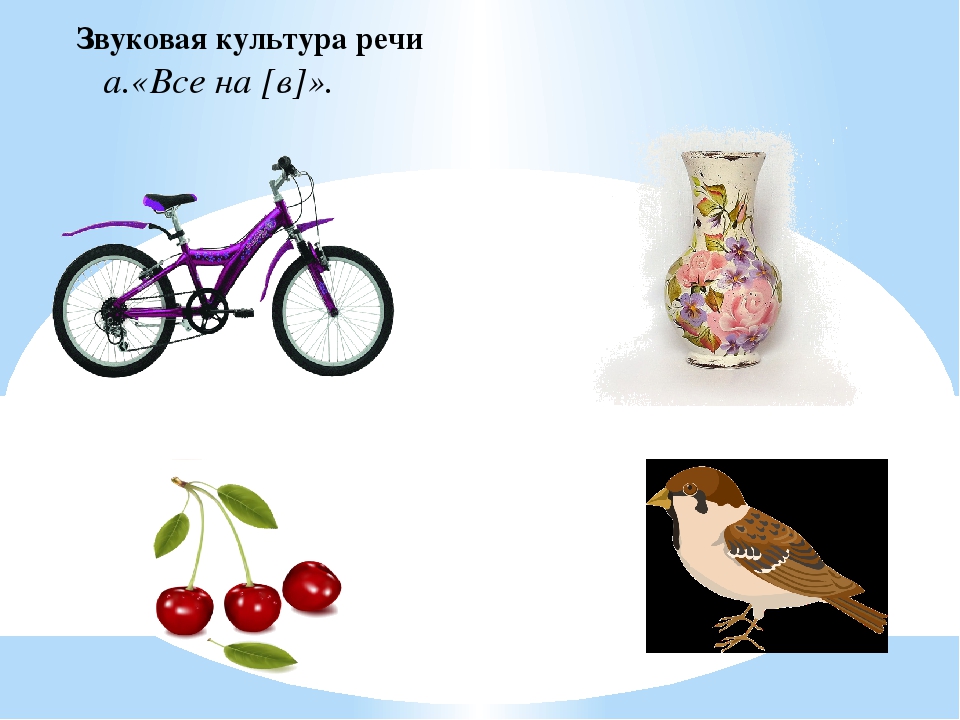 Диагностика речевого развития детей, обучающихся русскому языку в ДО