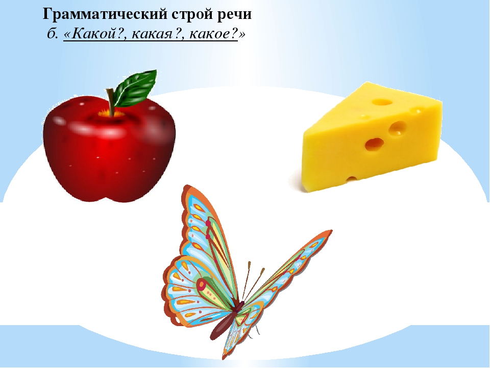 Диагностика речевого развития детей, обучающихся русскому языку в ДО