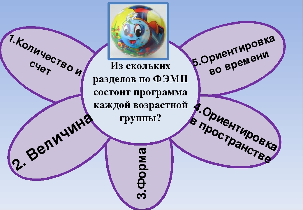 Есть в каждой программе. Разделы по ФЭМП. Разделы ыжмп каждой возрастной группы. Программные разделы ФЭМП. Разделы программы по ФЭМП.