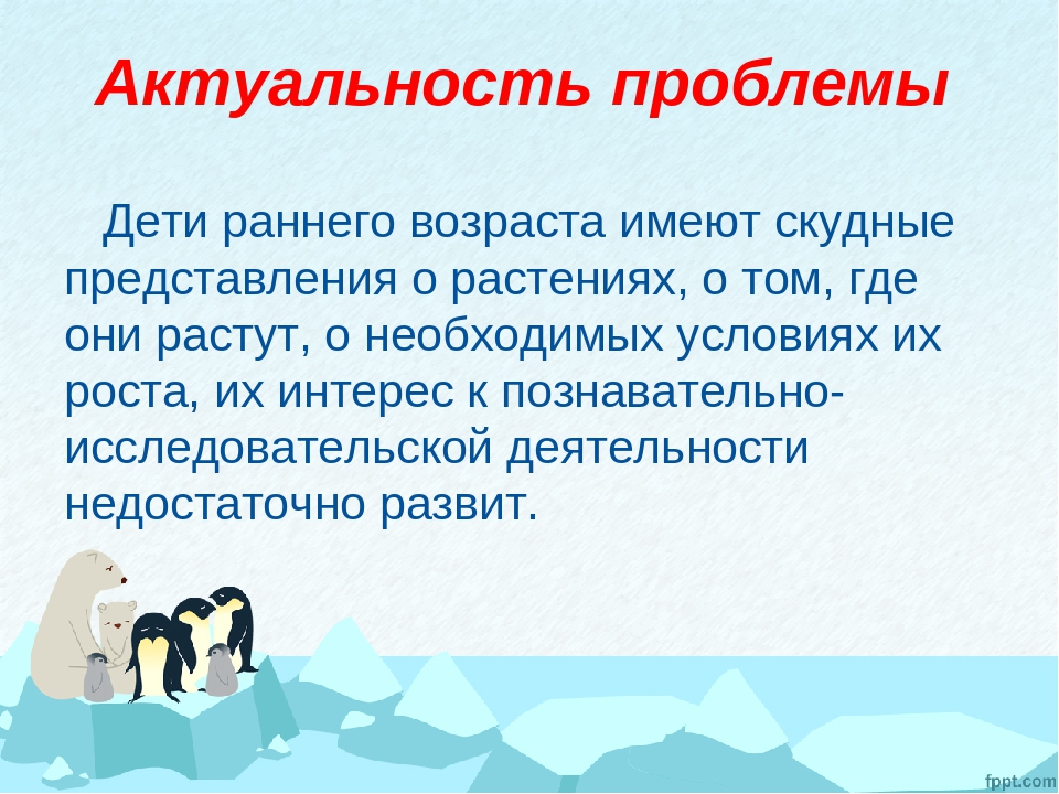 Экологический проект «Витаминный огород на севере»