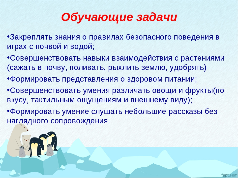 Экологический проект «Витаминный огород на севере»