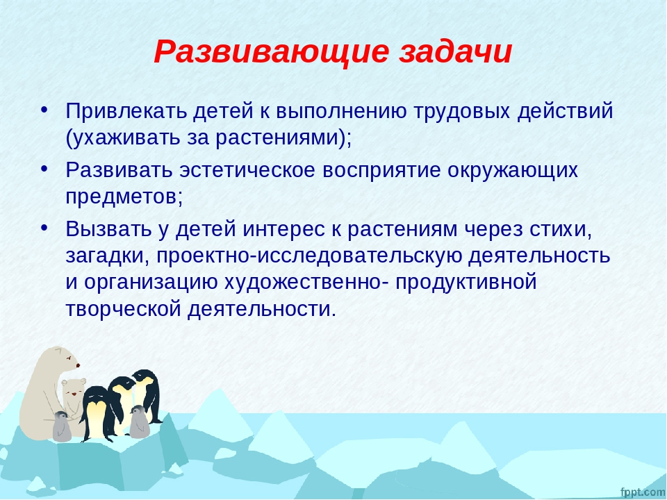 Экологический проект «Витаминный огород на севере»