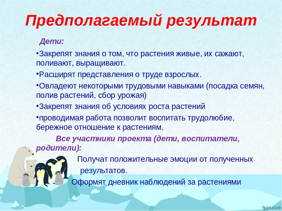 Экологический проект «Витаминный огород на севере»