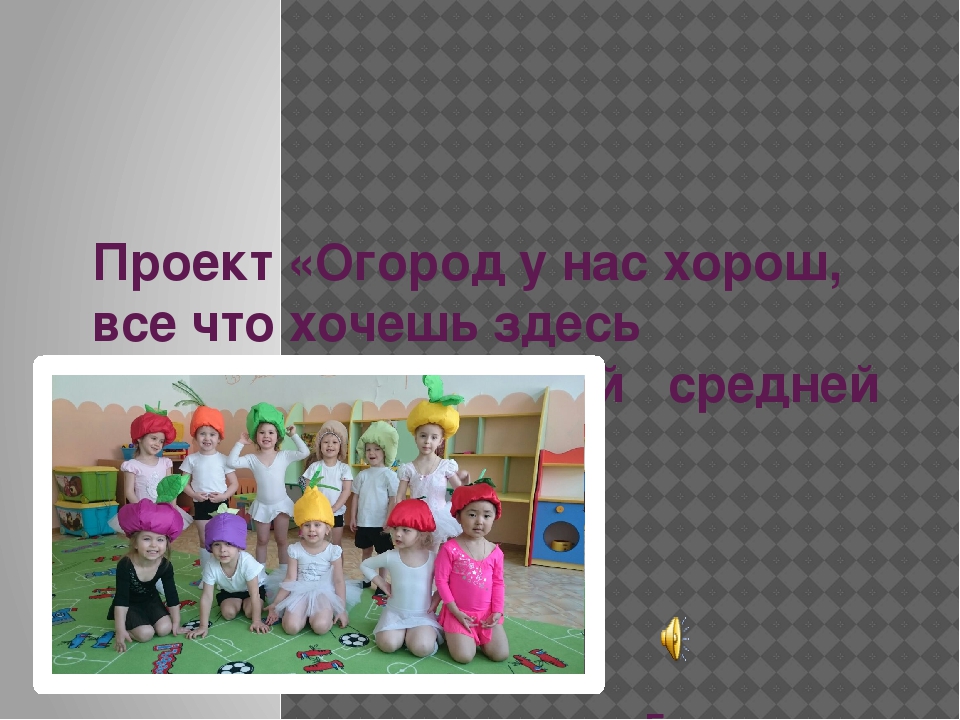 Проект «Огород у нас хорош, все ,что хочешь здесь сорвешь» (для детей средней группы) 2017 г.