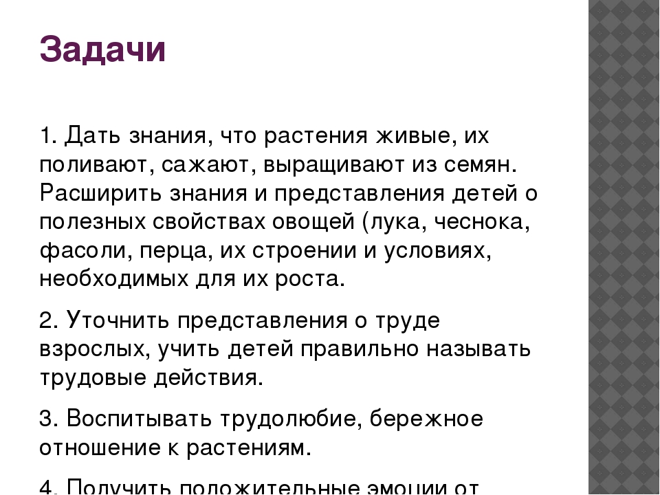 Проект «Огород у нас хорош, все ,что хочешь здесь сорвешь» (для детей средней группы) 2017 г.