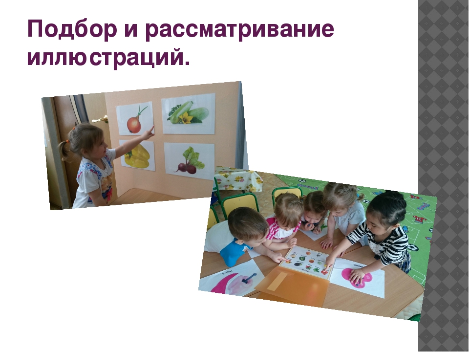 Проект «Огород у нас хорош, все ,что хочешь здесь сорвешь» (для детей средней группы) 2017 г.