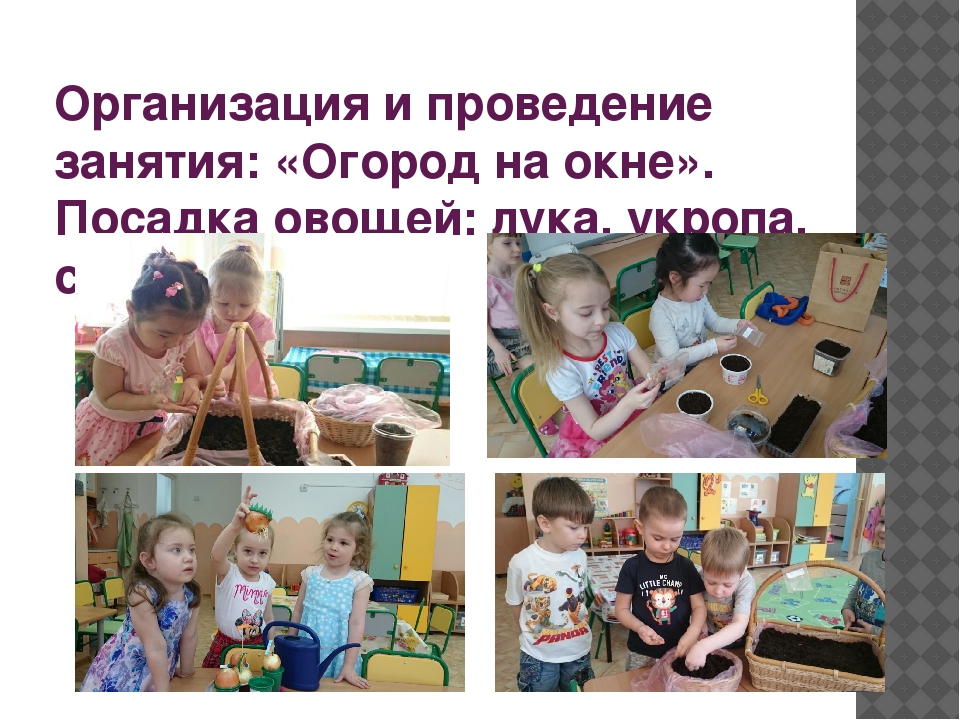 Проект «Огород у нас хорош, все ,что хочешь здесь сорвешь» (для детей средней группы) 2017 г.