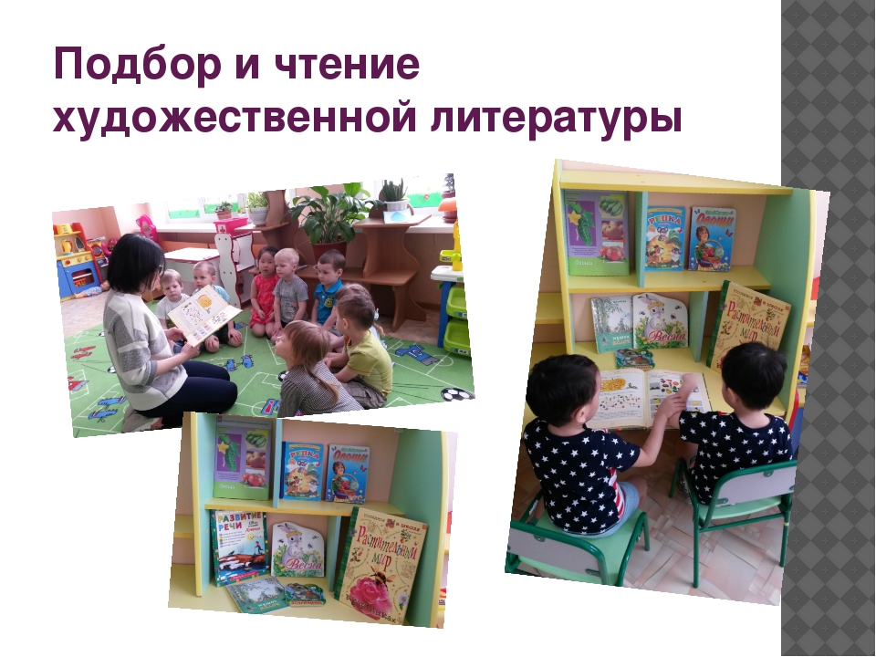 Проект «Огород у нас хорош, все ,что хочешь здесь сорвешь» (для детей средней группы) 2017 г.