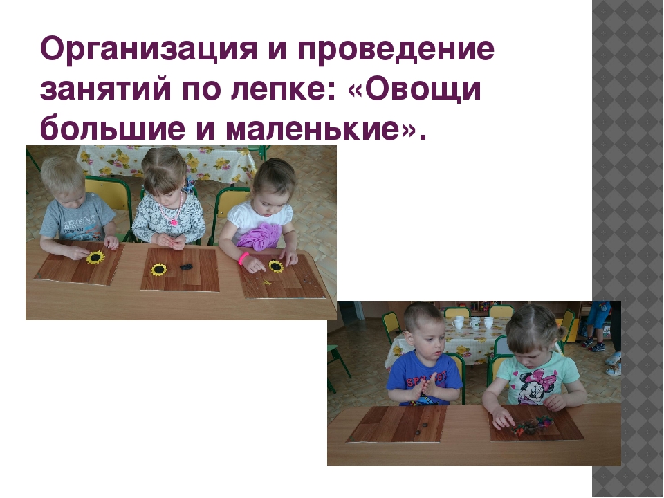 Проект «Огород у нас хорош, все ,что хочешь здесь сорвешь» (для детей средней группы) 2017 г.