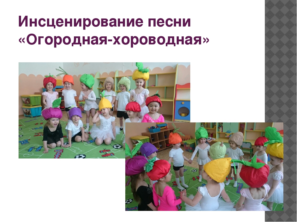Проект «Огород у нас хорош, все ,что хочешь здесь сорвешь» (для детей средней группы) 2017 г.