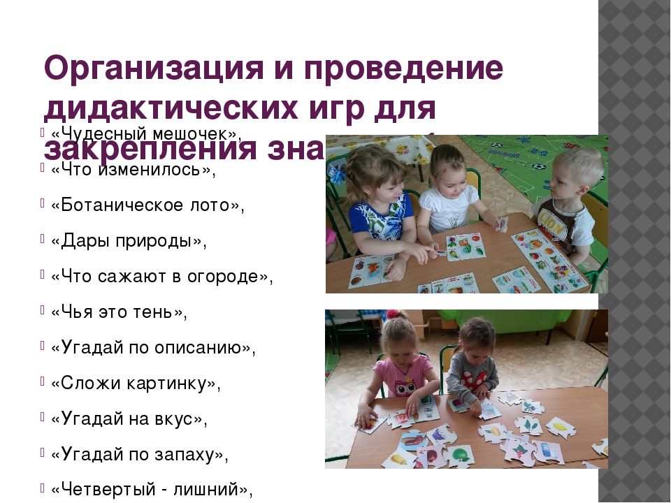 Проект «Огород у нас хорош, все ,что хочешь здесь сорвешь» (для детей средней группы) 2017 г.