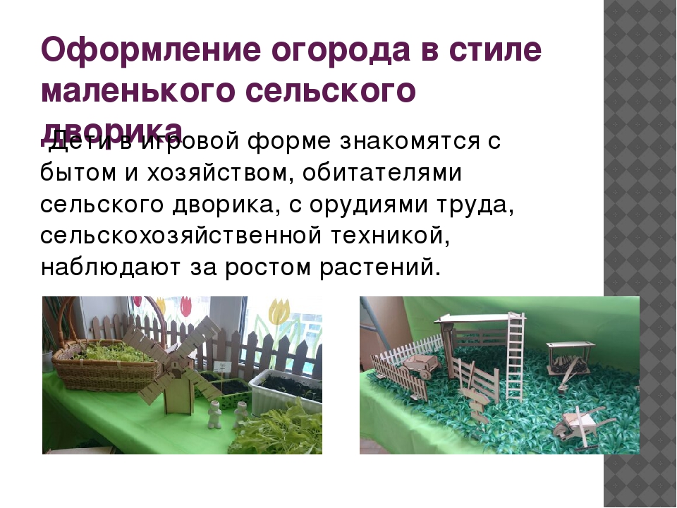 Проект «Огород у нас хорош, все ,что хочешь здесь сорвешь» (для детей средней группы) 2017 г.