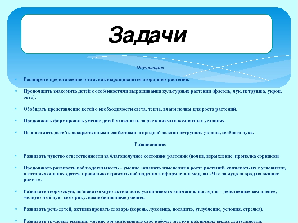 Проект "Огород на окне"