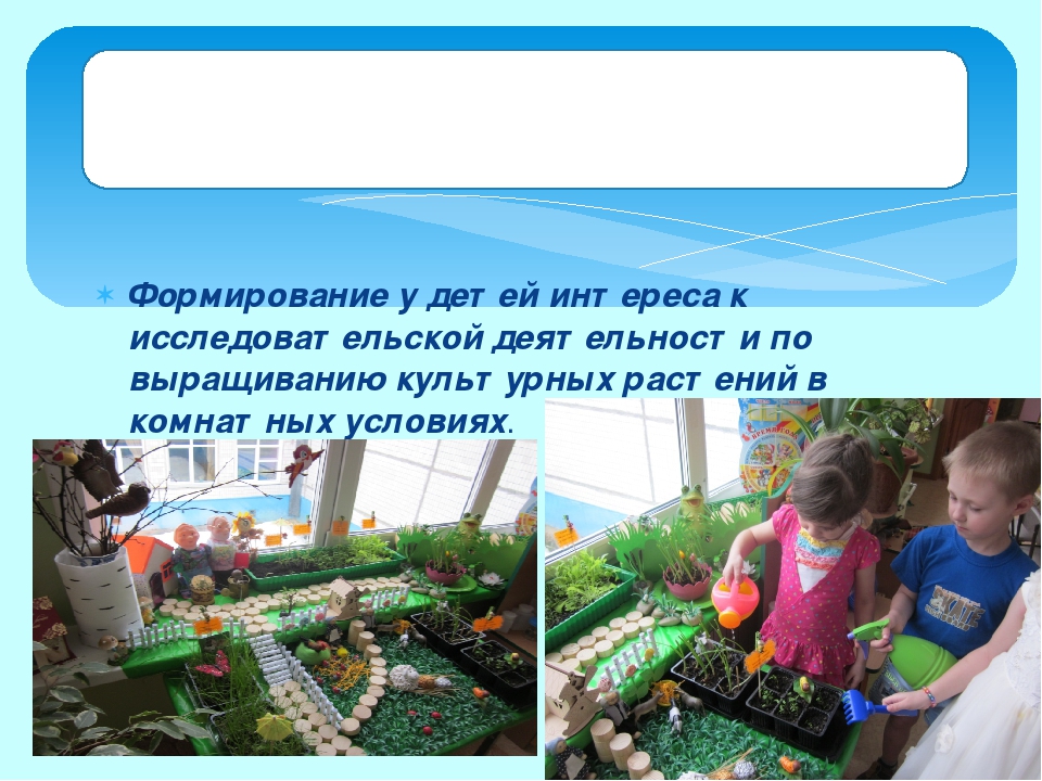 Проект "Огород на окне"