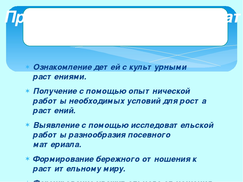 Проект "Огород на окне"