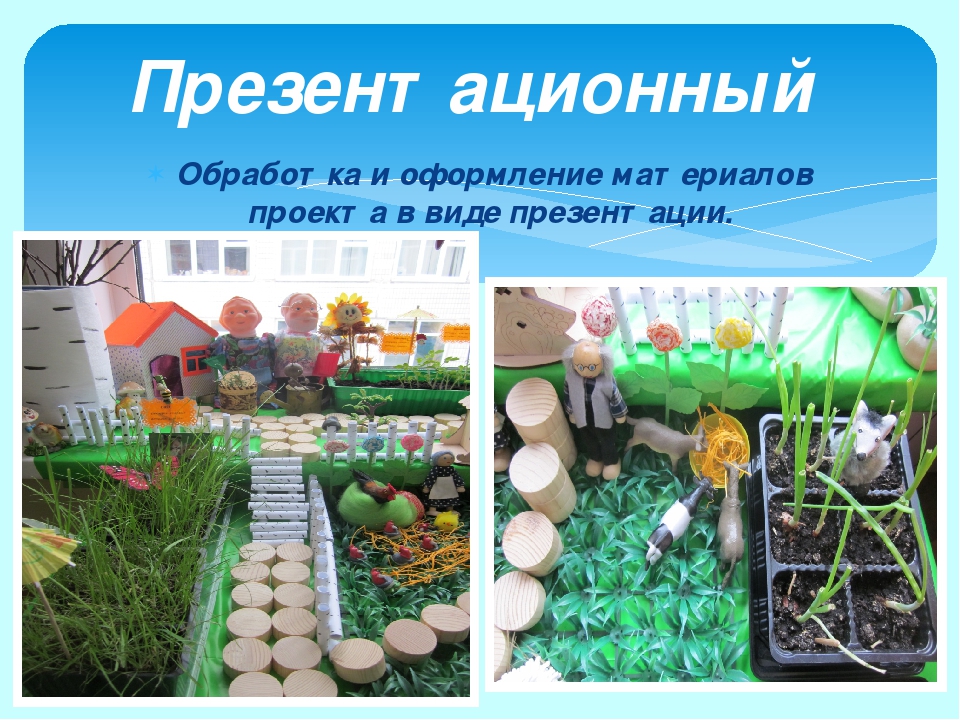 Проект "Огород на окне"