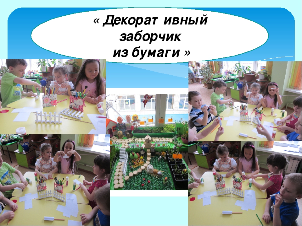 Проект "Огород на окне"