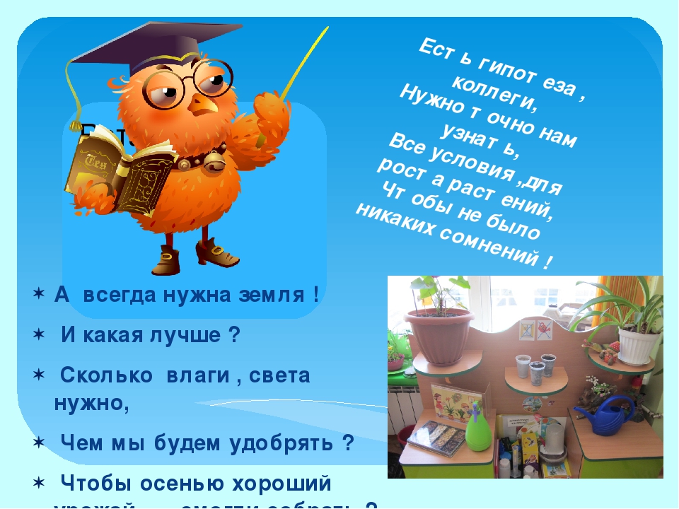 Проект "Огород на окне"