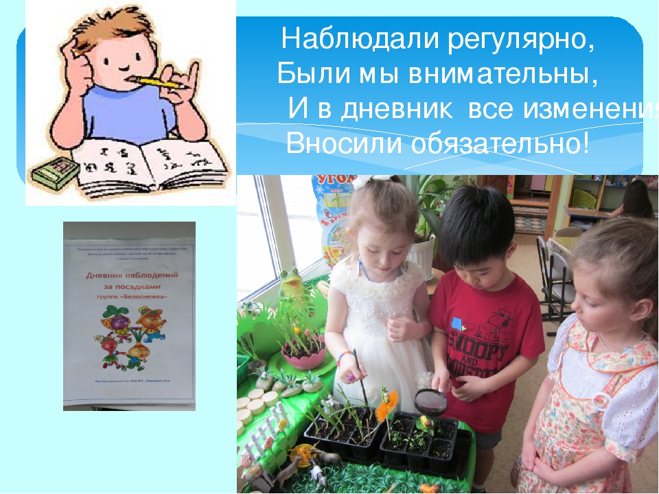 Проект "Огород на окне"