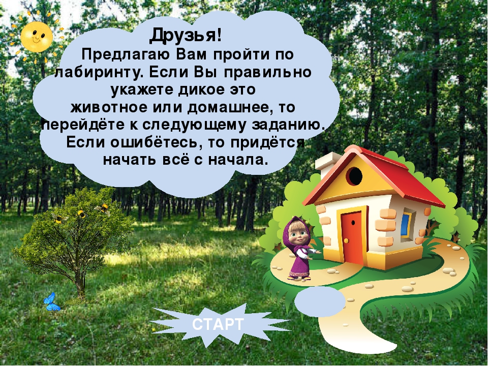 Открытый урок на тему "Дикие и домашние животные"