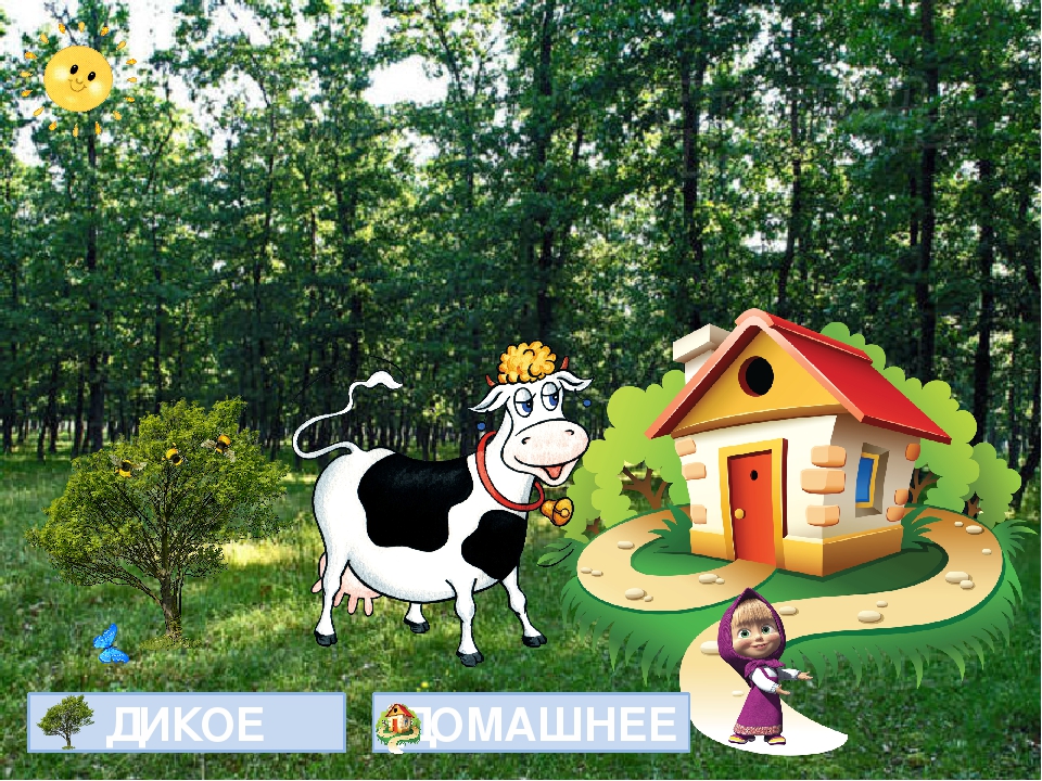 Открытый урок на тему "Дикие и домашние животные"