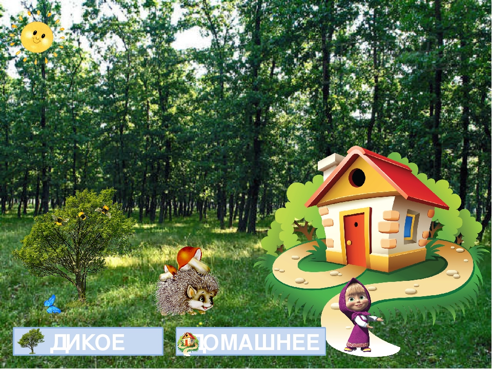 Открытый урок на тему "Дикие и домашние животные"