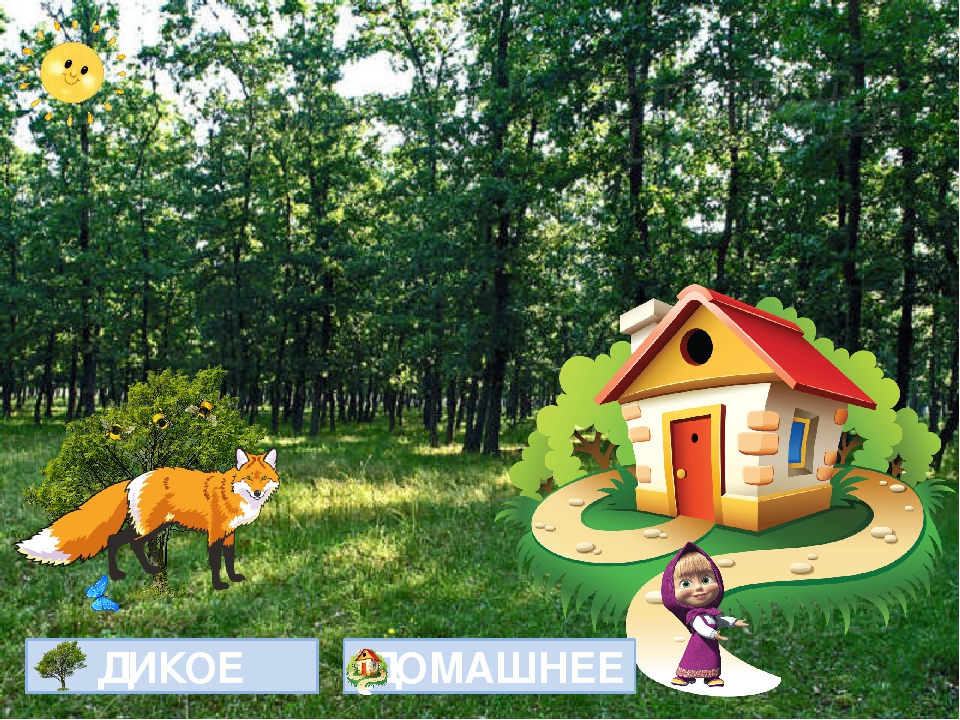 Открытый урок на тему "Дикие и домашние животные"