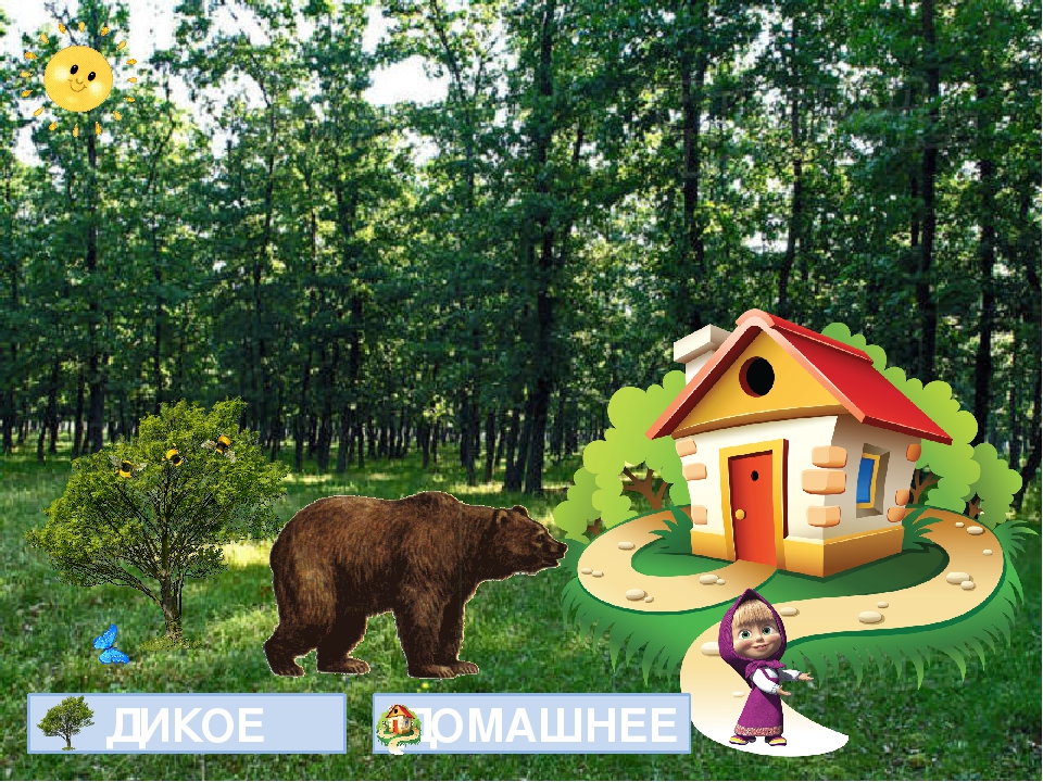 Открытый урок на тему "Дикие и домашние животные"