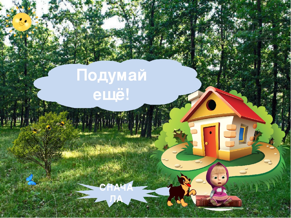 Открытый урок на тему "Дикие и домашние животные"