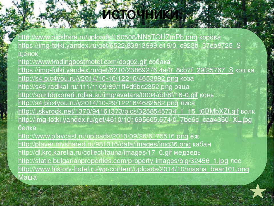 Открытый урок на тему "Дикие и домашние животные"