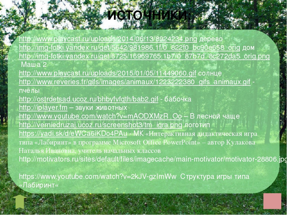 Открытый урок на тему "Дикие и домашние животные"