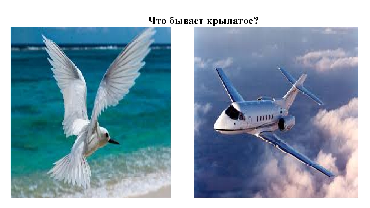 Презентация к НОД по ознакомлению с художественной литературой на тему: Чтение сказки "Крылатый, мохнатый да масленный".