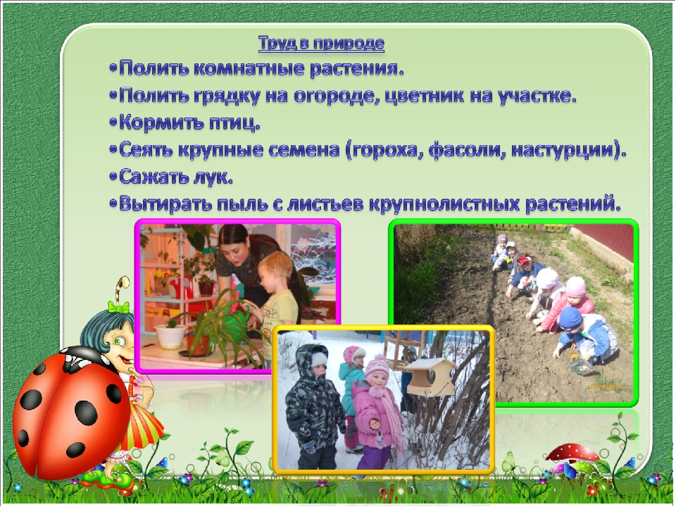 Презентация на тему "Воспитание ответственного отношения к трудовым поручениям у детей дошкольного возраста"