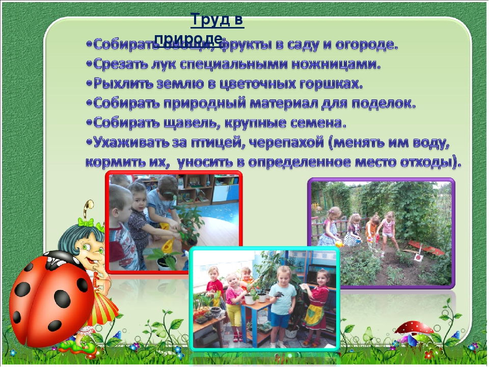 Презентация на тему "Воспитание ответственного отношения к трудовым поручениям у детей дошкольного возраста"