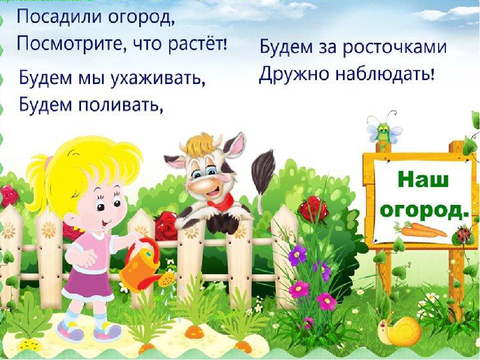 Презентация "Огород круглый год"