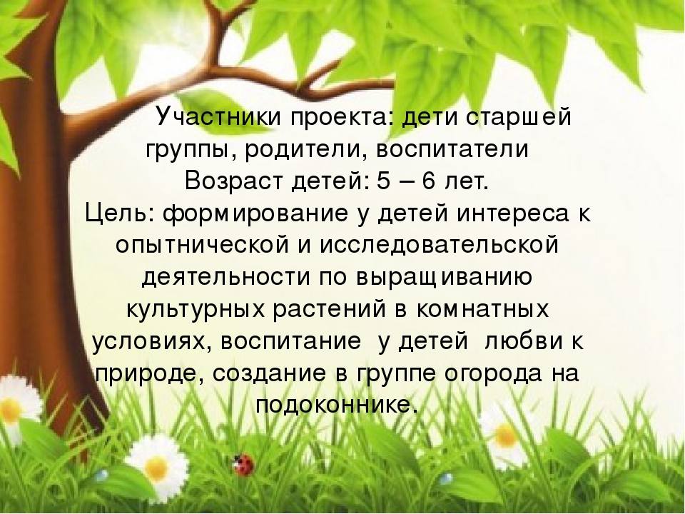 Презентация "Огород круглый год"