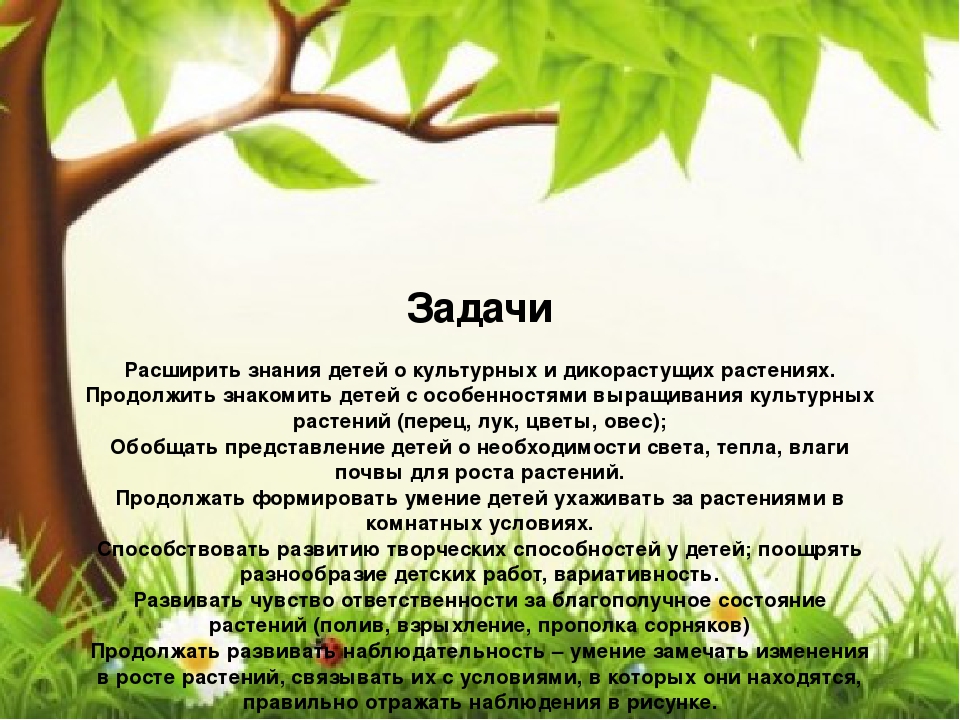 Презентация "Огород круглый год"