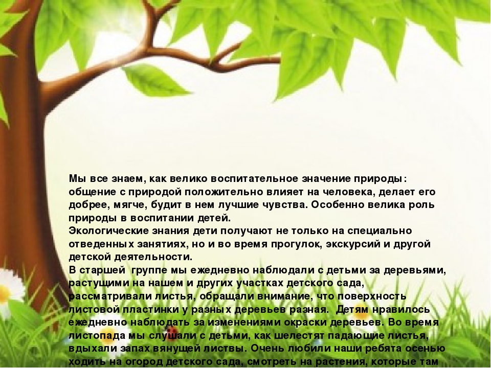 Презентация "Огород круглый год"
