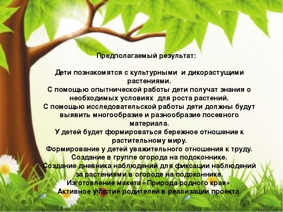 Презентация "Огород круглый год"