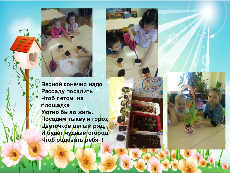 Презентация "Огород круглый год"