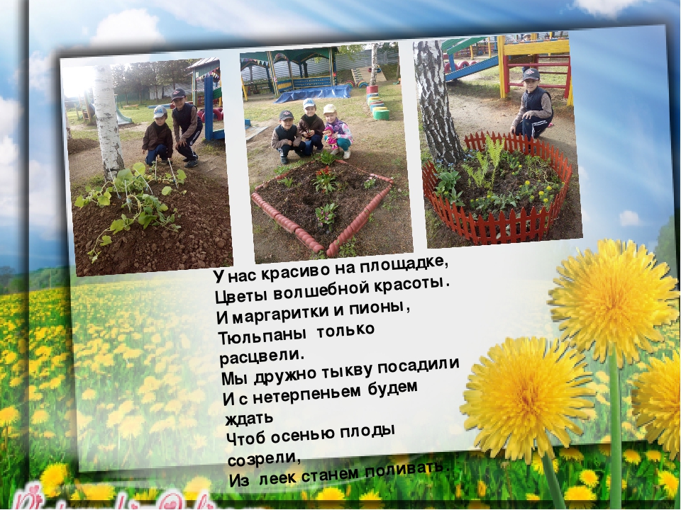 Презентация "Огород круглый год"